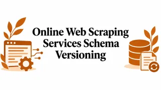 Online Web Scraping Services Schema Versioning