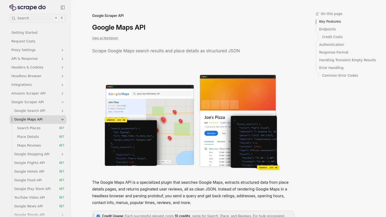 Scrape.do, Google Maps API